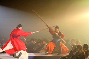 충주 세계무술축제