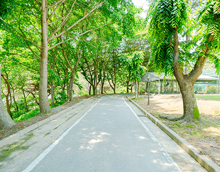 산책로3 이미지