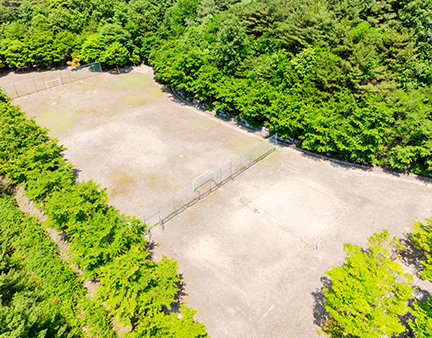 축구장 및 족구장 이미지