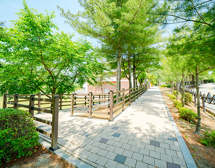 산책로4 이미지