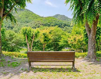 산책로2 이미지