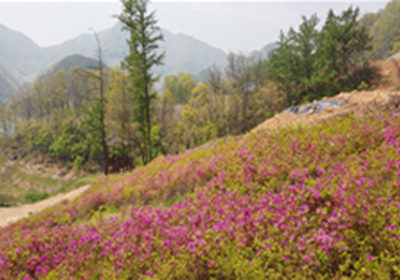 종댕이길 이미지