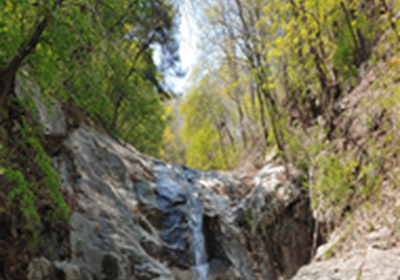 수룡폭포 이미지